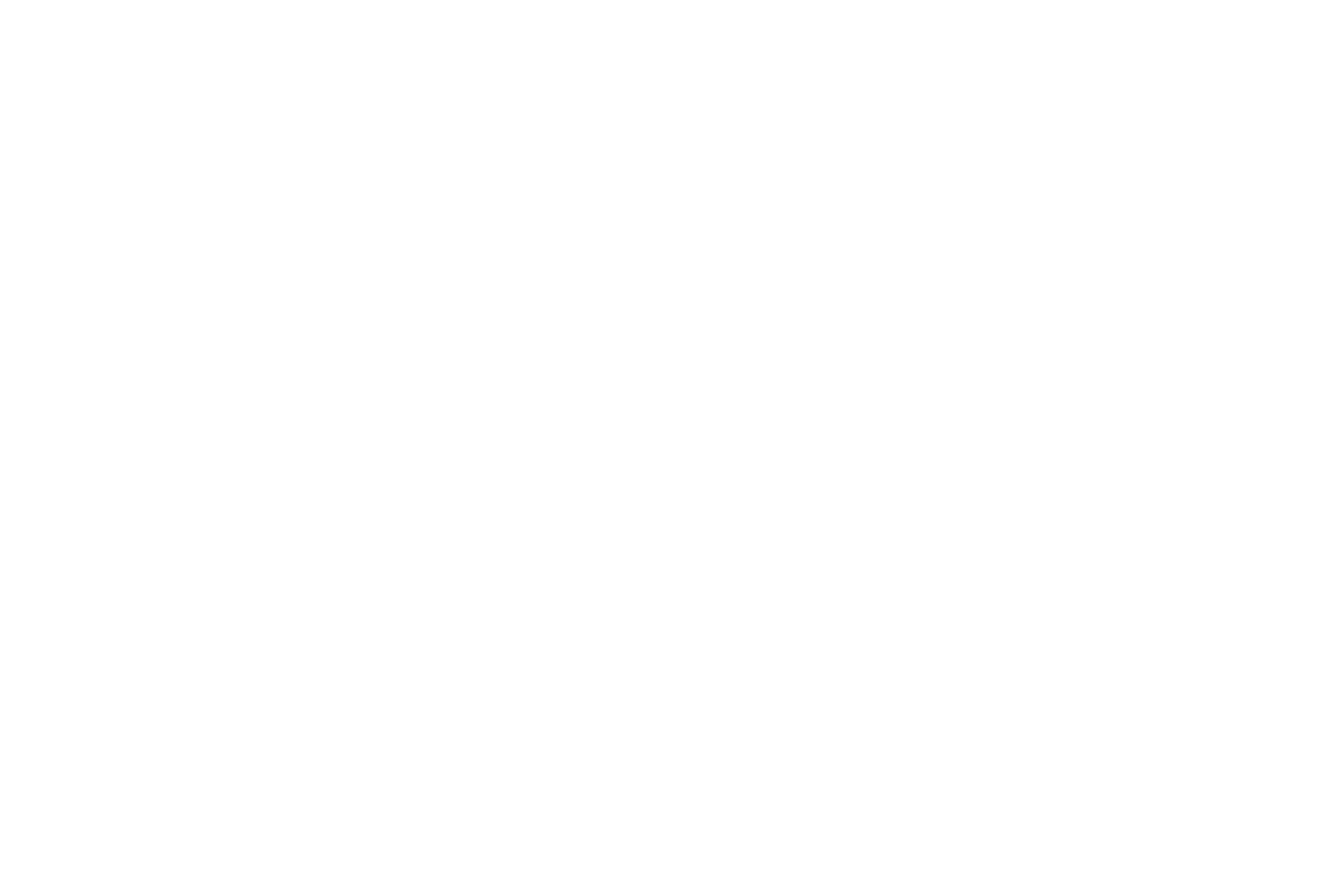FORAY Logo